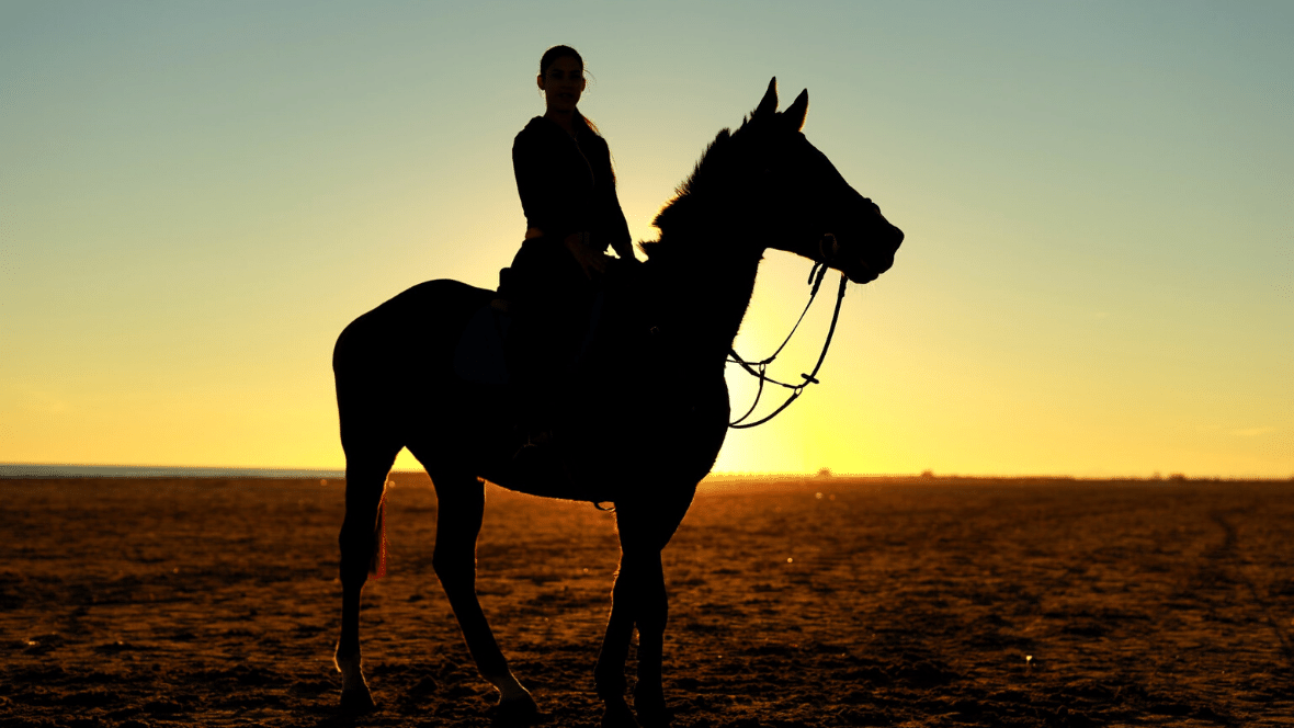 sporten met paard