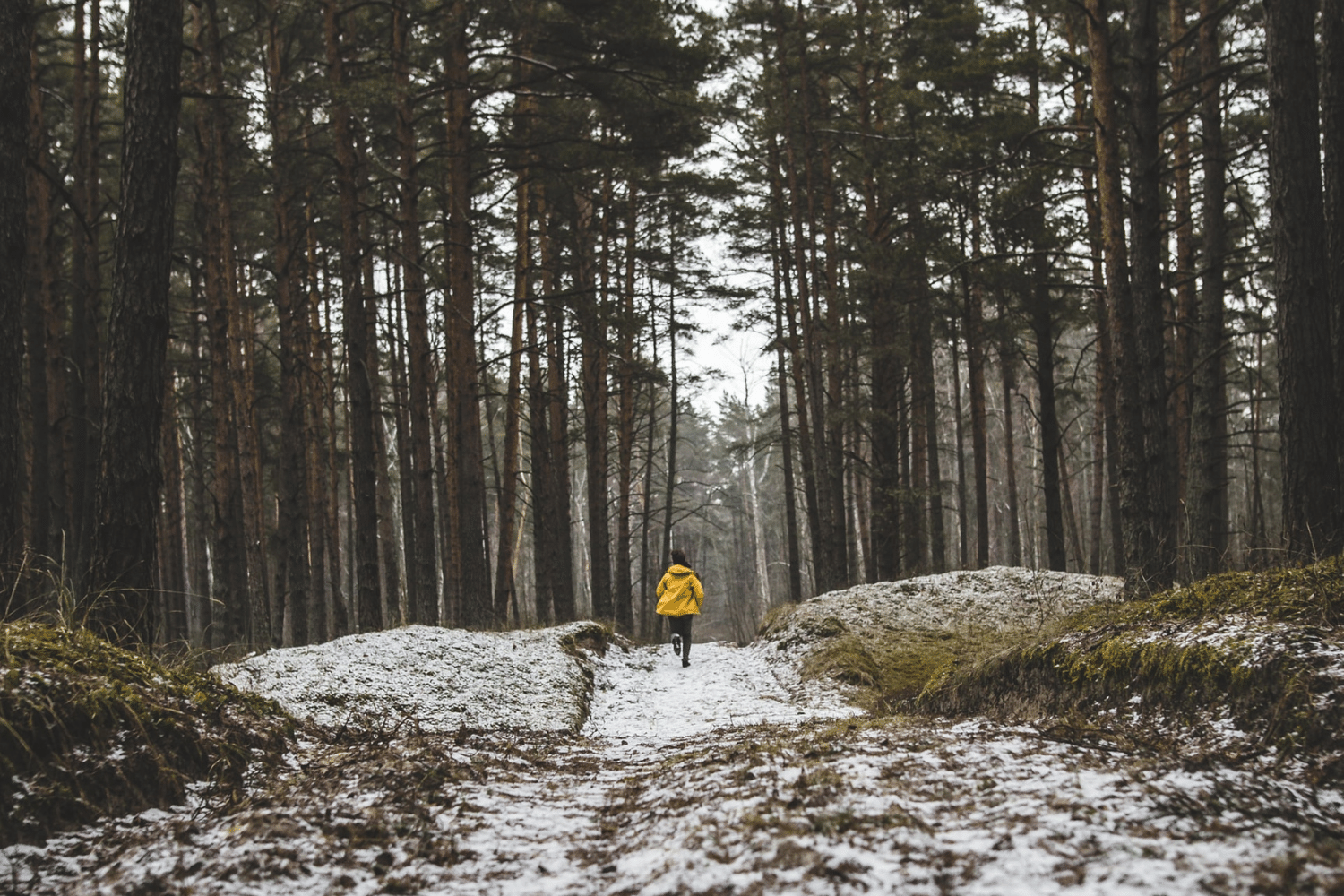 Hardlopen in de winter